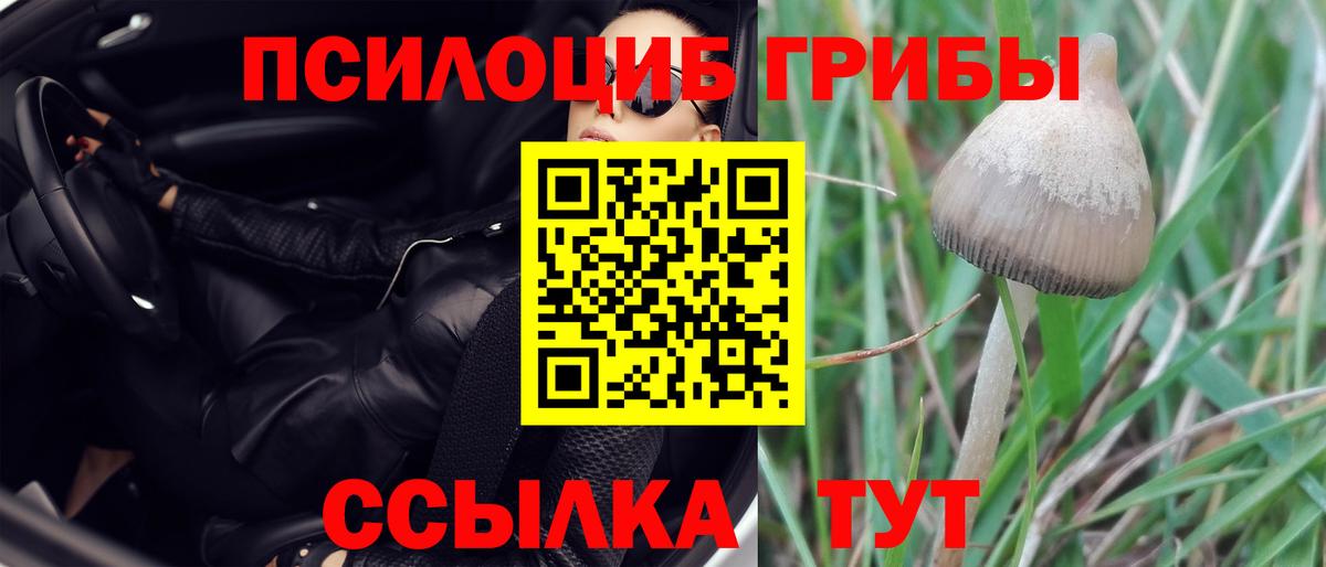 Псилоцибиновые грибы Cubensis  Вход с VPN  Псилоцибиновые грибы Cubensis  Волхов 